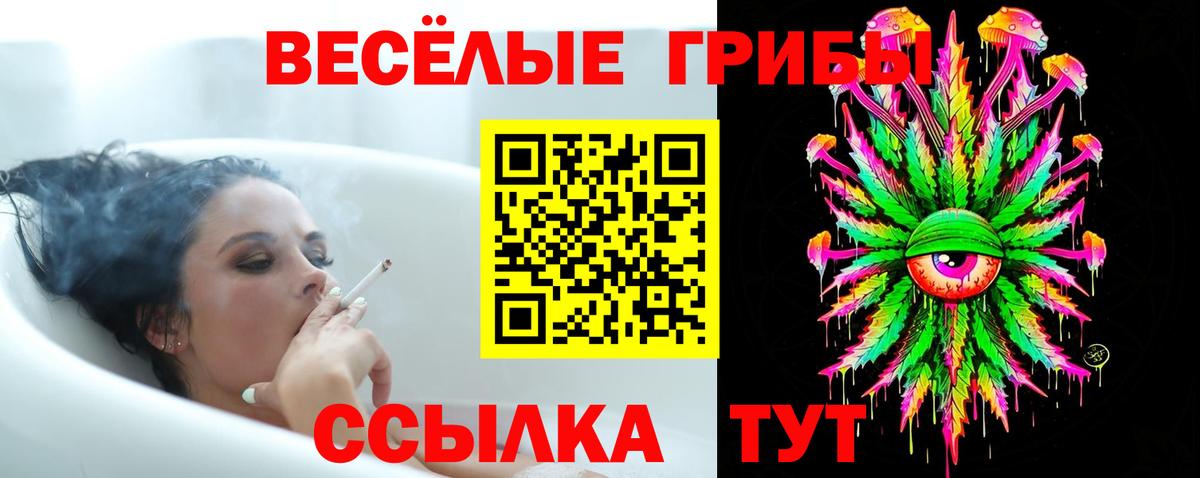 Галлюциногенные грибы ЛСД  Галлюциногенные грибы прущие грибы  Вход с VPN  Вышний Волочёк 