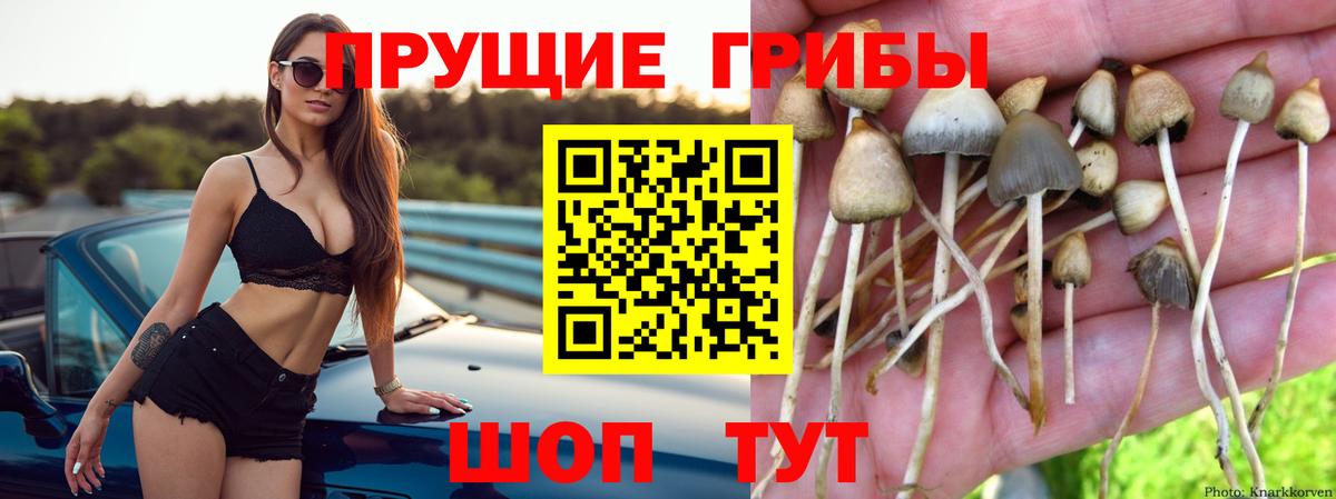 Галлюциногенные грибы мухоморы Вышний Волочёк